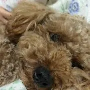 みなみ