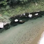 元気です！の画像