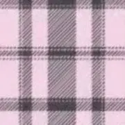 ぱぴの画像