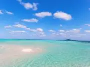 AlohaPlumeria