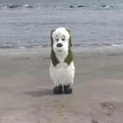 たまに元気なわんわん