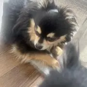 やまちの画像