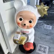 ハリネズミの画像