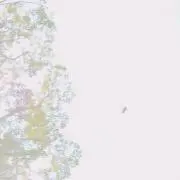 えびみ