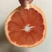 きなこもち