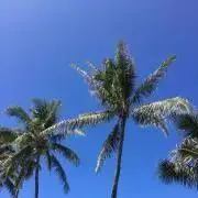 eightの画像