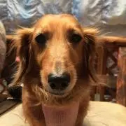 まゃにゃ