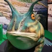 アキームの画像