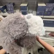 るねの画像