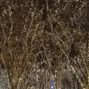 sa♡の画像