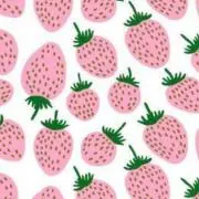 夏ミカンの画像