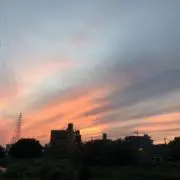 cちゃんの画像