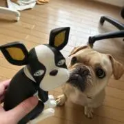 リオりお 値下げ不可の画像