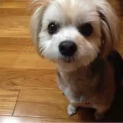 いちぴぃ