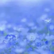 藍色