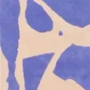 Rinの画像