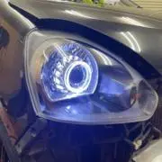 ロベの画像