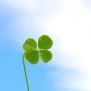 こと