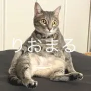 りおまる( ΦωΦ )沖縄在住の画像