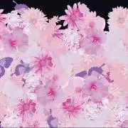 あやちゃん★の画像