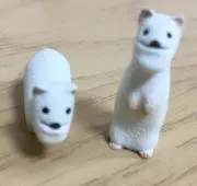 かまちゅうの画像