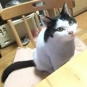 yuta0926