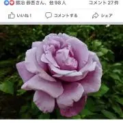 まきちょりーの画像