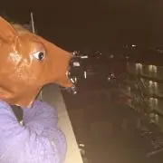 馬のスタンド
