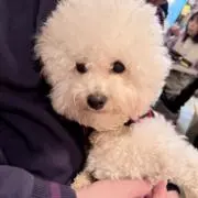 そぴ