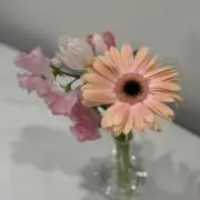 ka