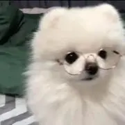YUの画像