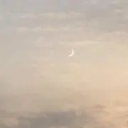 おはなの画像