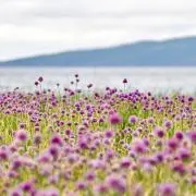 sanzuinikyou◎プロフ必読の画像