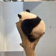 くうの画像