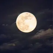 juriの画像