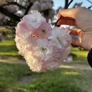 みなのすけの画像