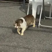 そらの画像
