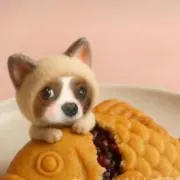 カレンの画像