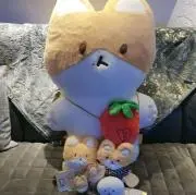 まーちゃんの画像