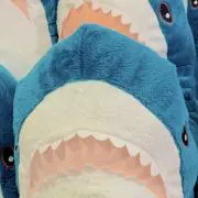 kazuの画像