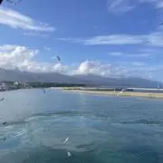 にらお