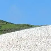 金田はじめの画像