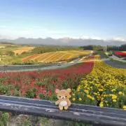 るぅの画像