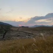 Jusの画像