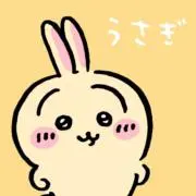 うさぎの画像