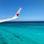 accoの画像