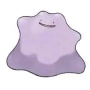 りーさんの画像