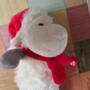 いろはの画像