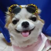 マイメロ
