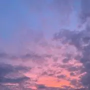 すぎのの画像